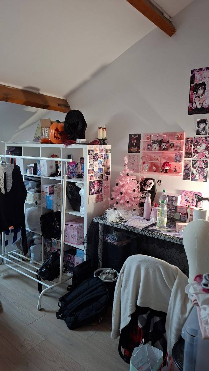 Une photo de l’annonce