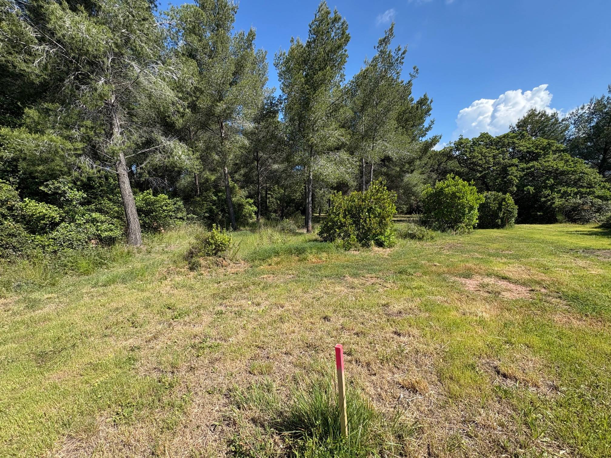 Une photo de l’annonce