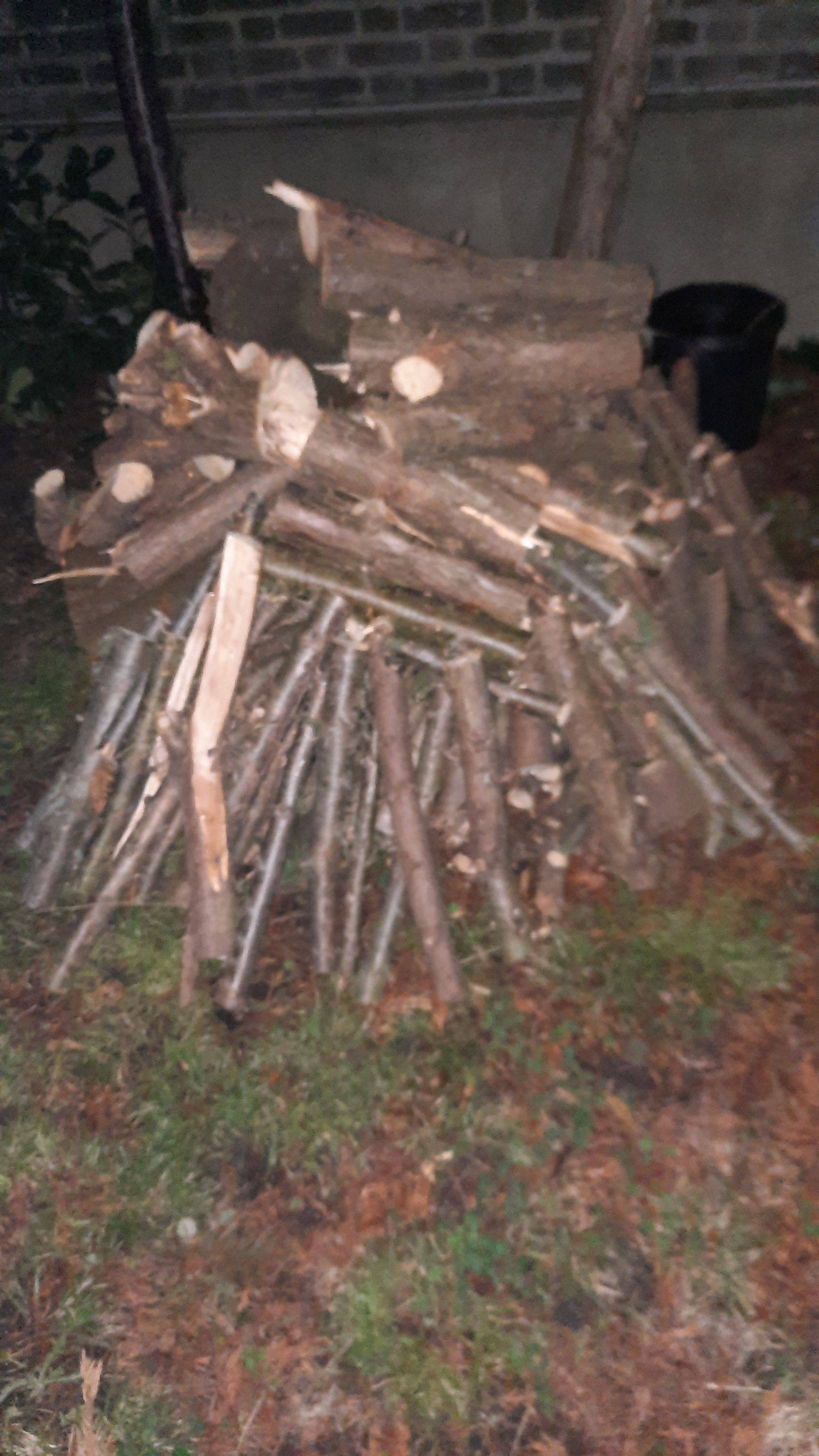 Vends bois de thuya