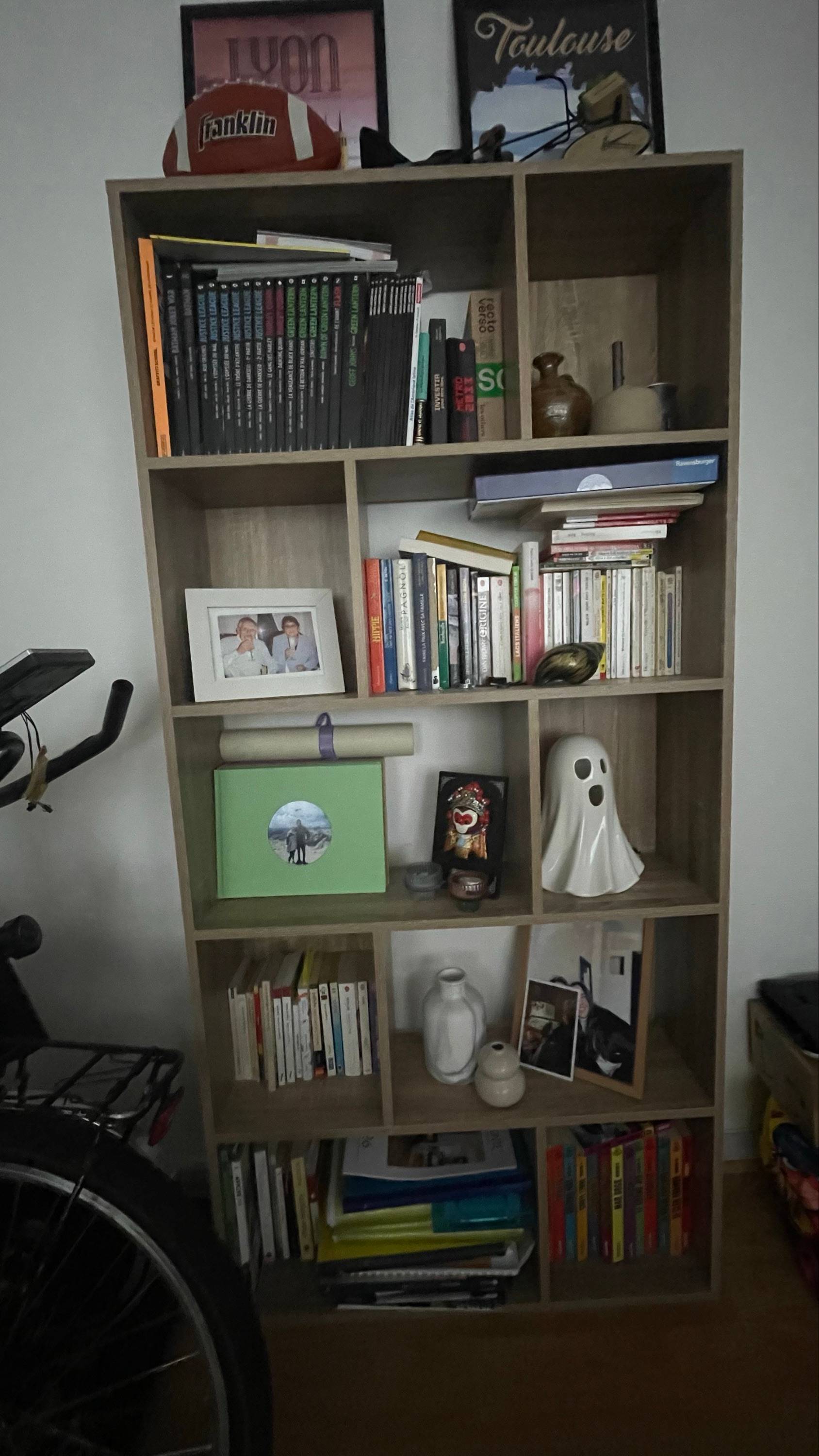 Vends bibliothèque en bois – design moderne et pratique