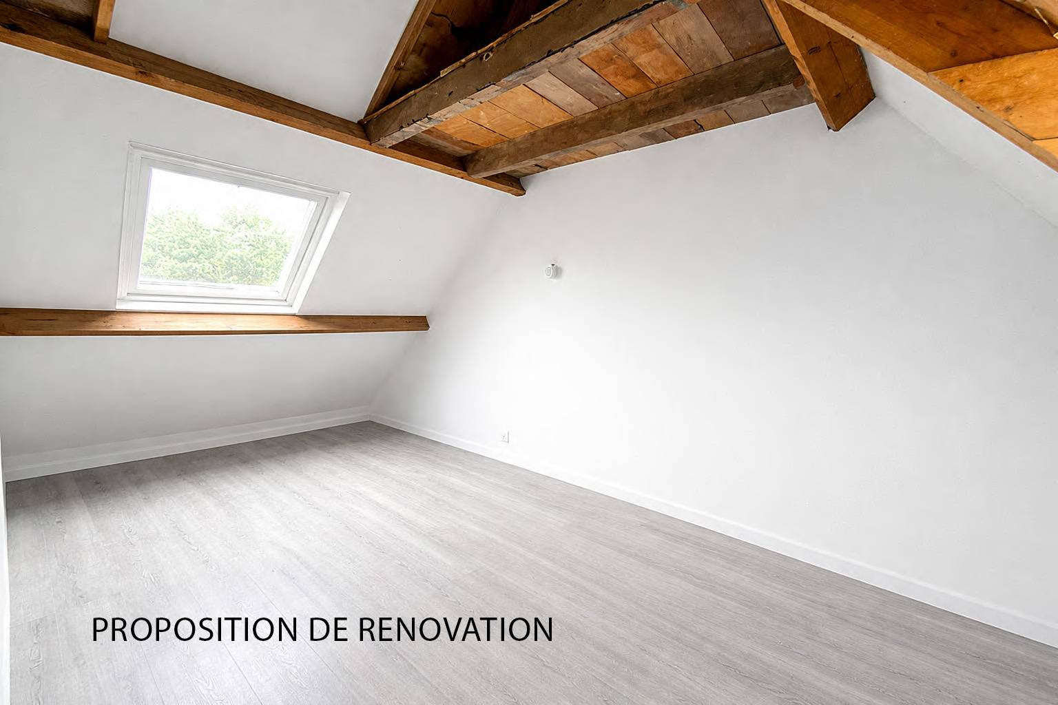 Une photo de l’annonce