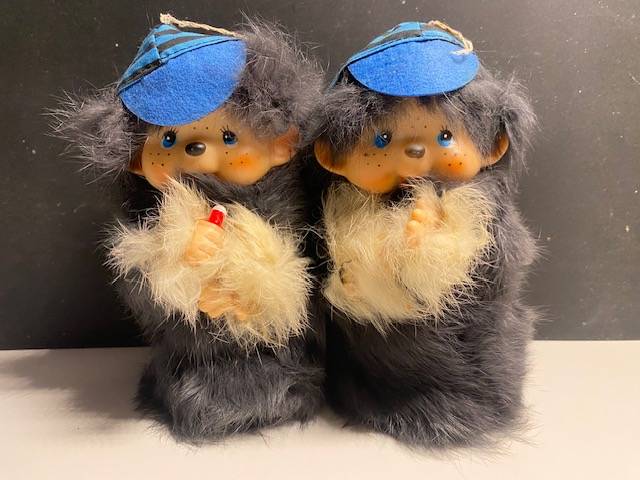 Vends deux kikis super mignons