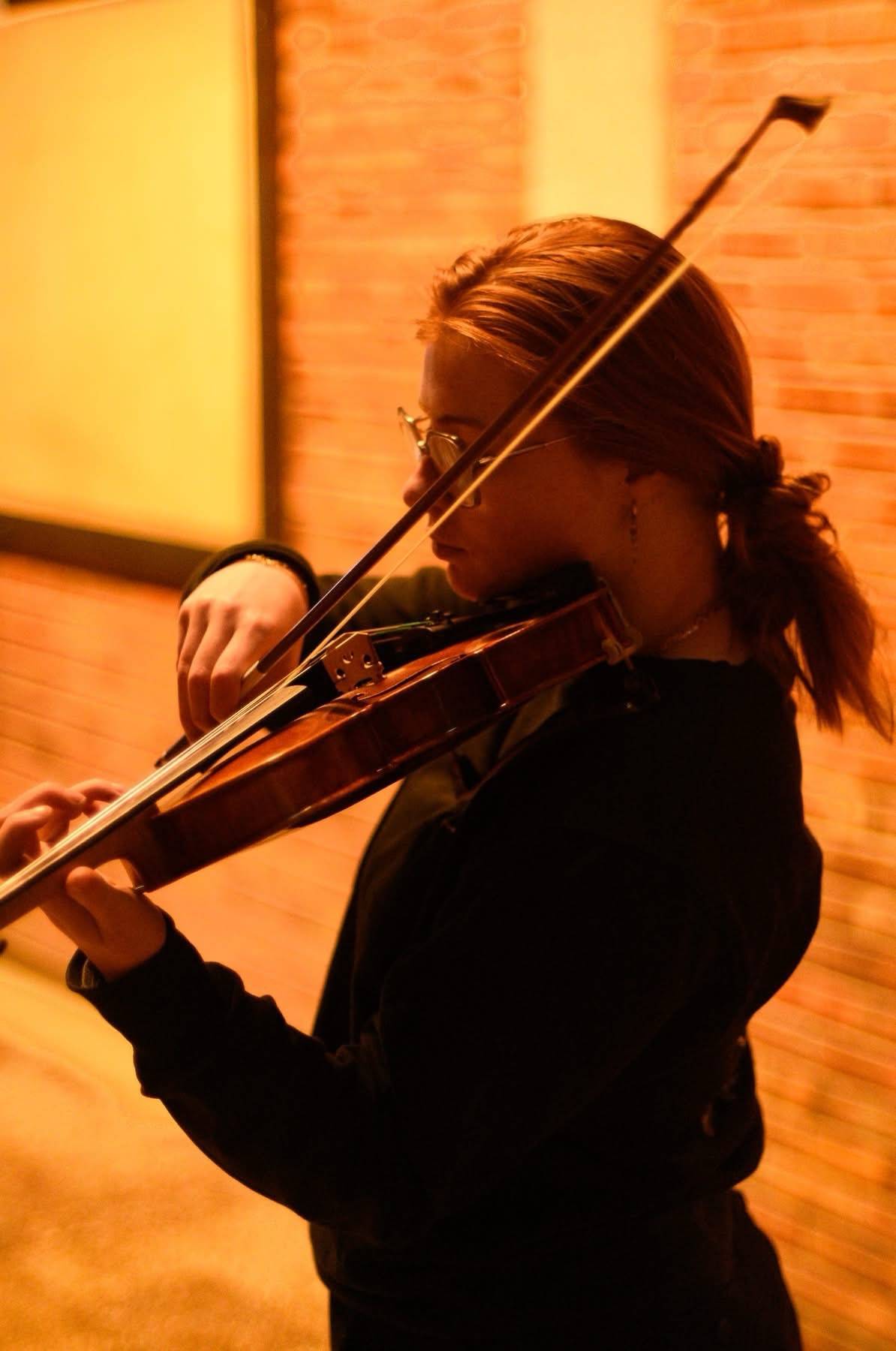 Propose cours particuliers de violon