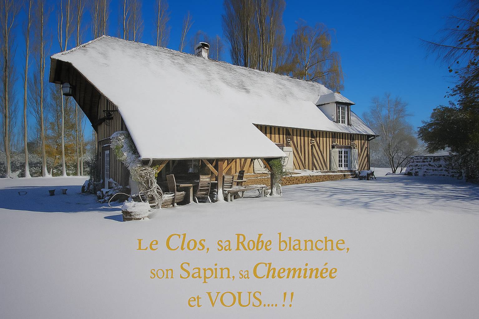 Une photo de l’annonce