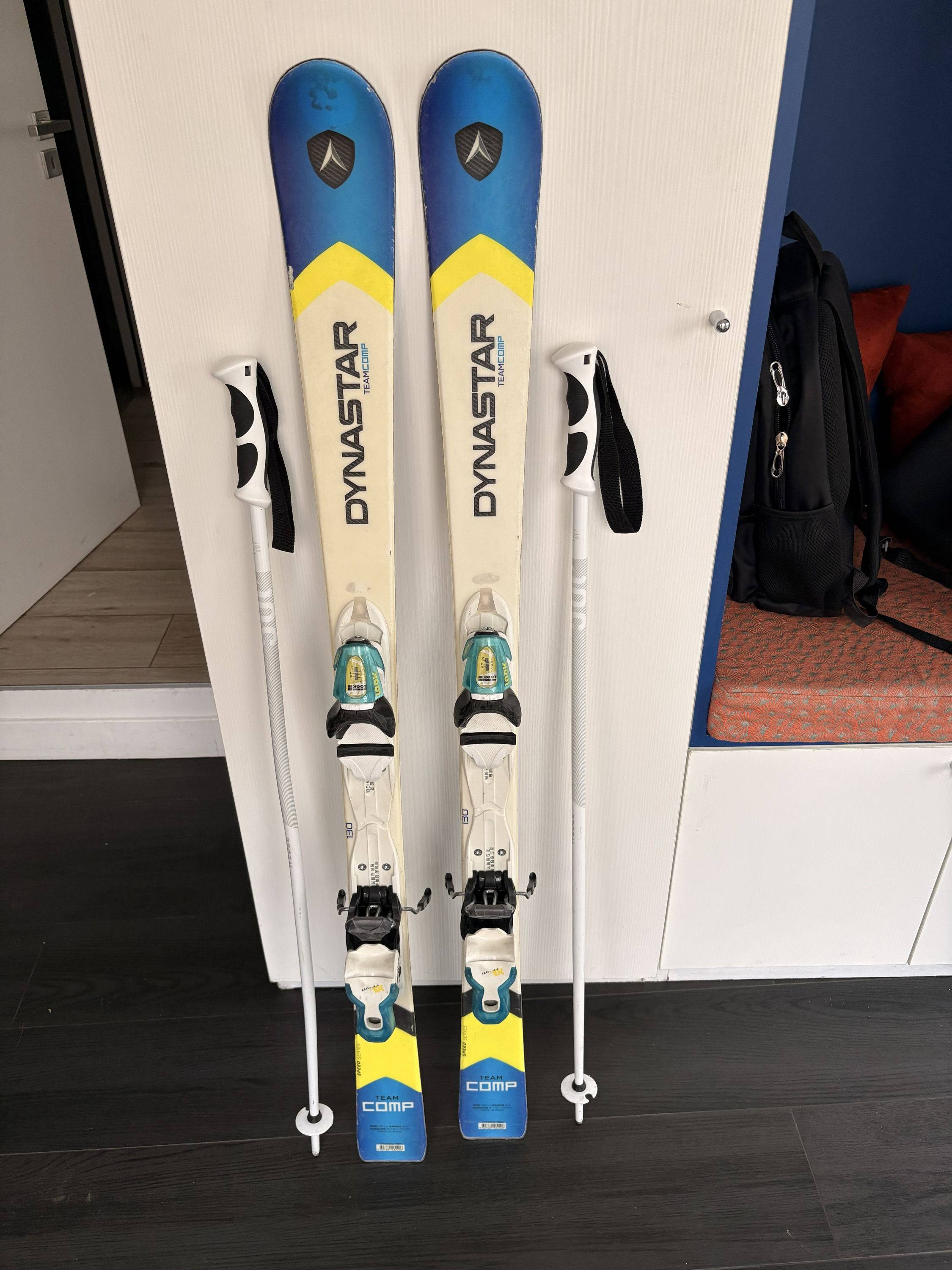 Dynastar Sac De Ski F-Team Extensible 2 Paires – Gris, Longueur 160-210 Cm, Rembourré, 1,4 Kg