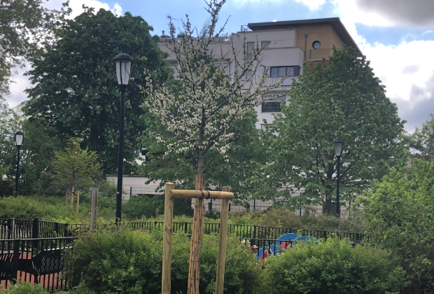 Une photo de l’annonce