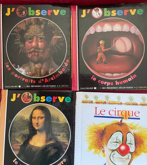 Lot livres J’OBSERVE - Gallimard mes premières découvertes