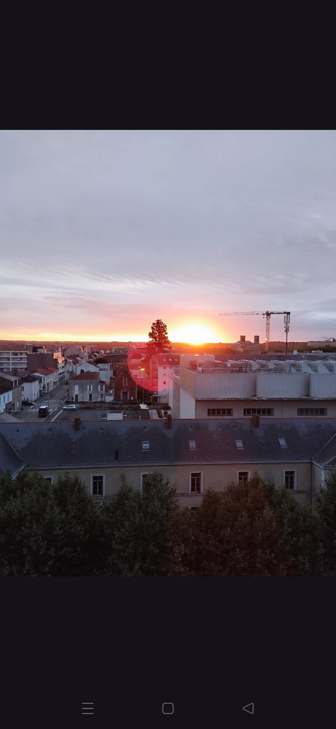 Une photo de l’annonce