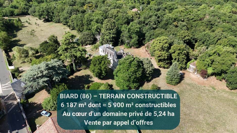 Une photo de l’annonce