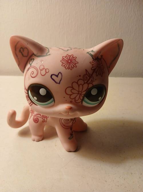 Petshop grand chat numéroté