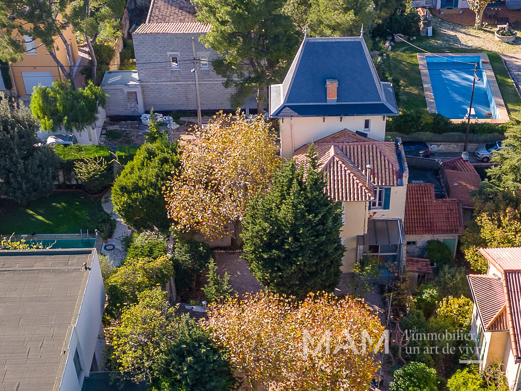 Une photo de l’annonce