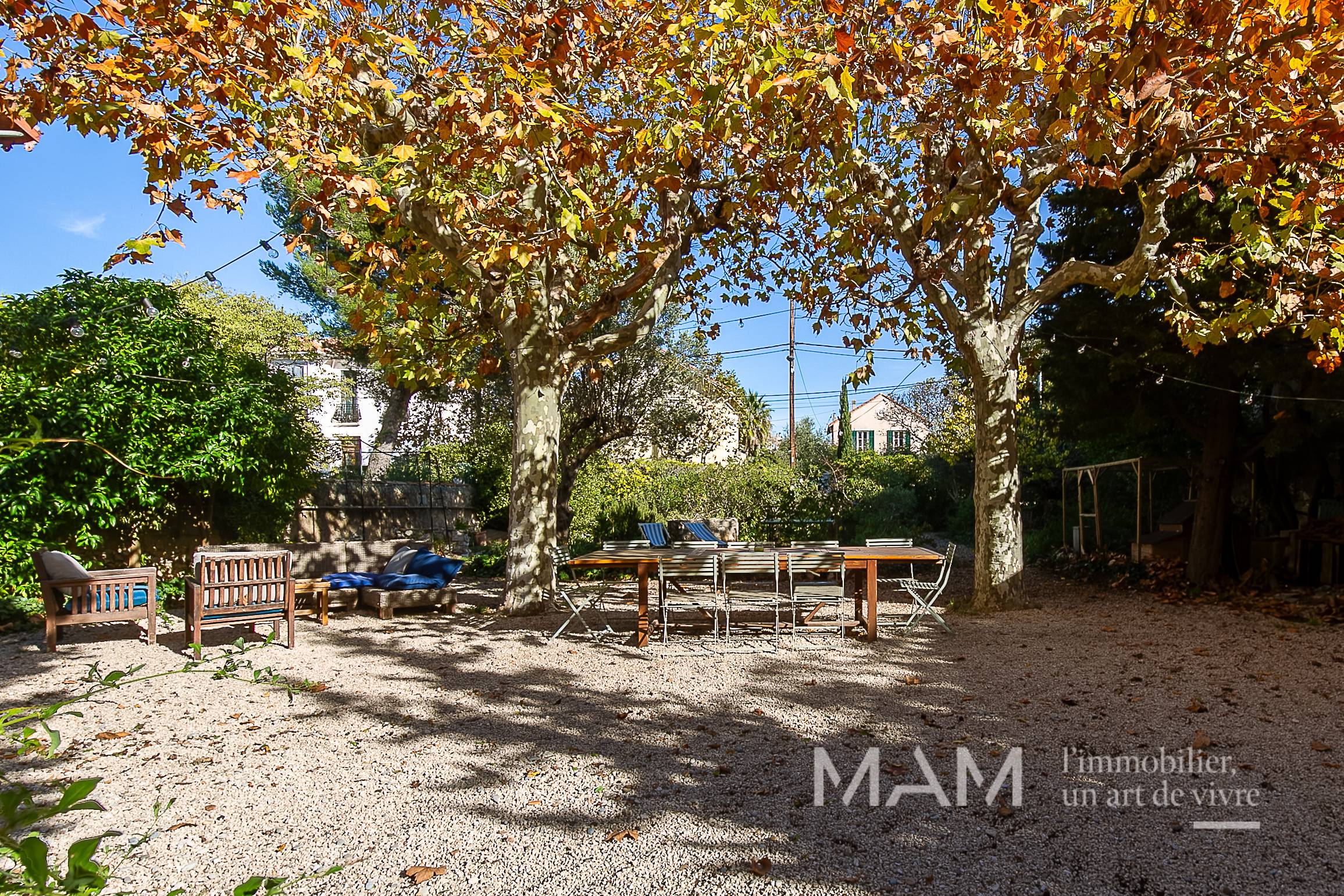 Une photo de l’annonce