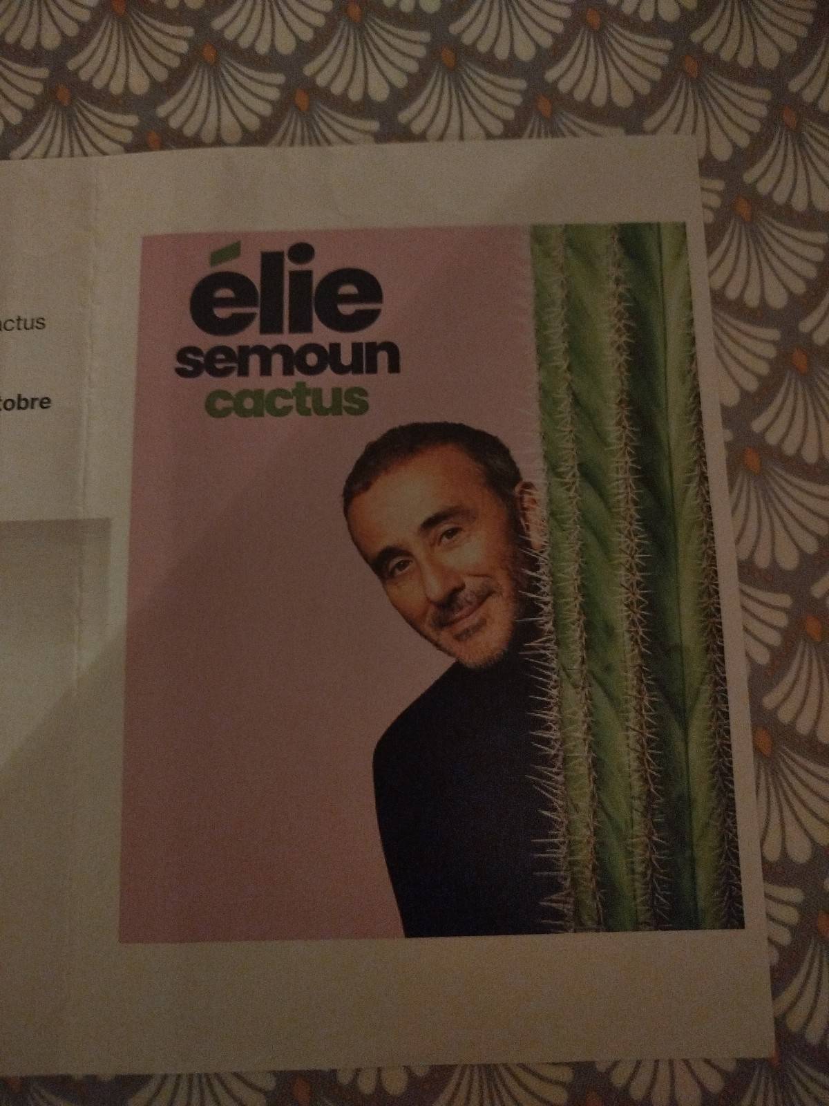 Propose Elie Semoun à Versailles le 29 octobre