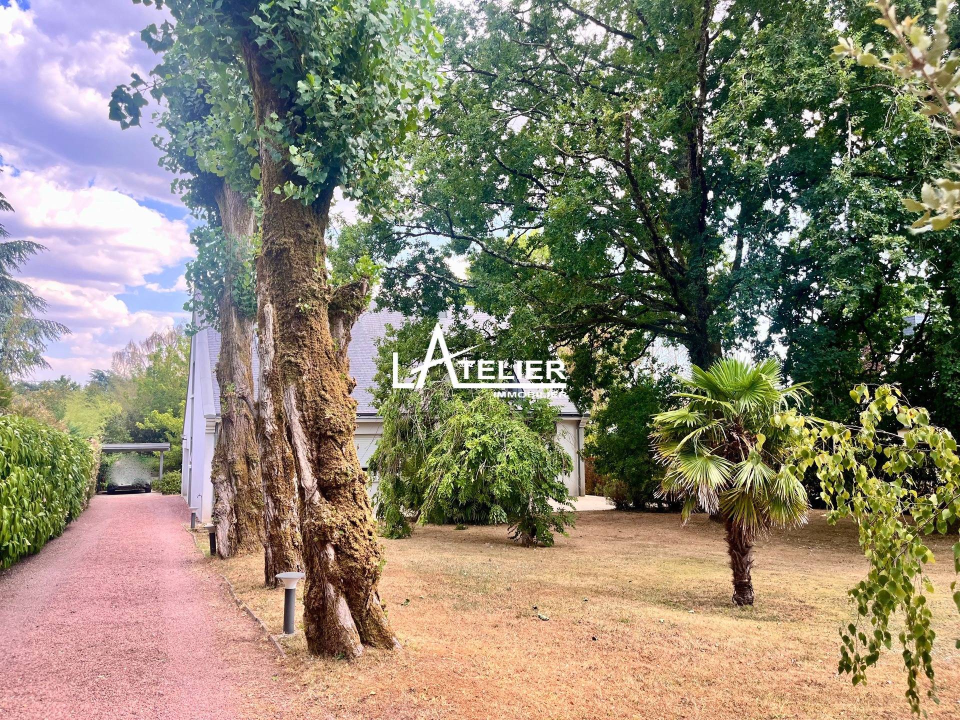 Une photo de l’annonce