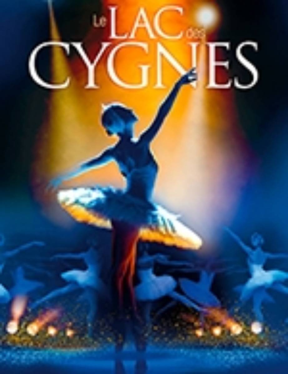 Propose billet pour Le Lac des Cygnes à Lyon le 19 décembre