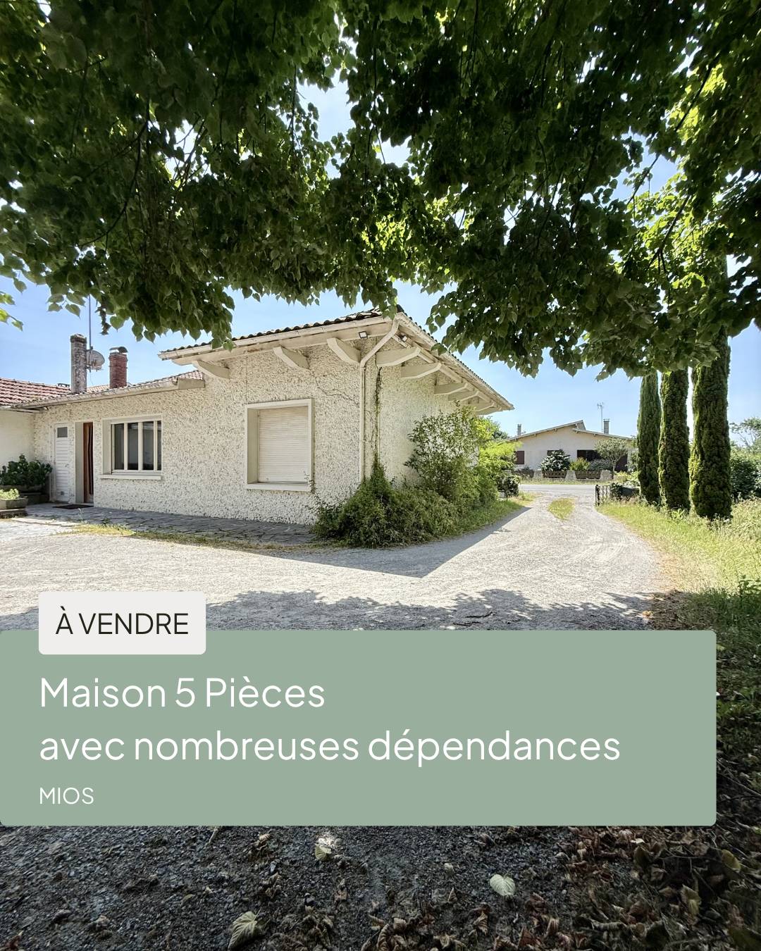 Une photo de l’annonce