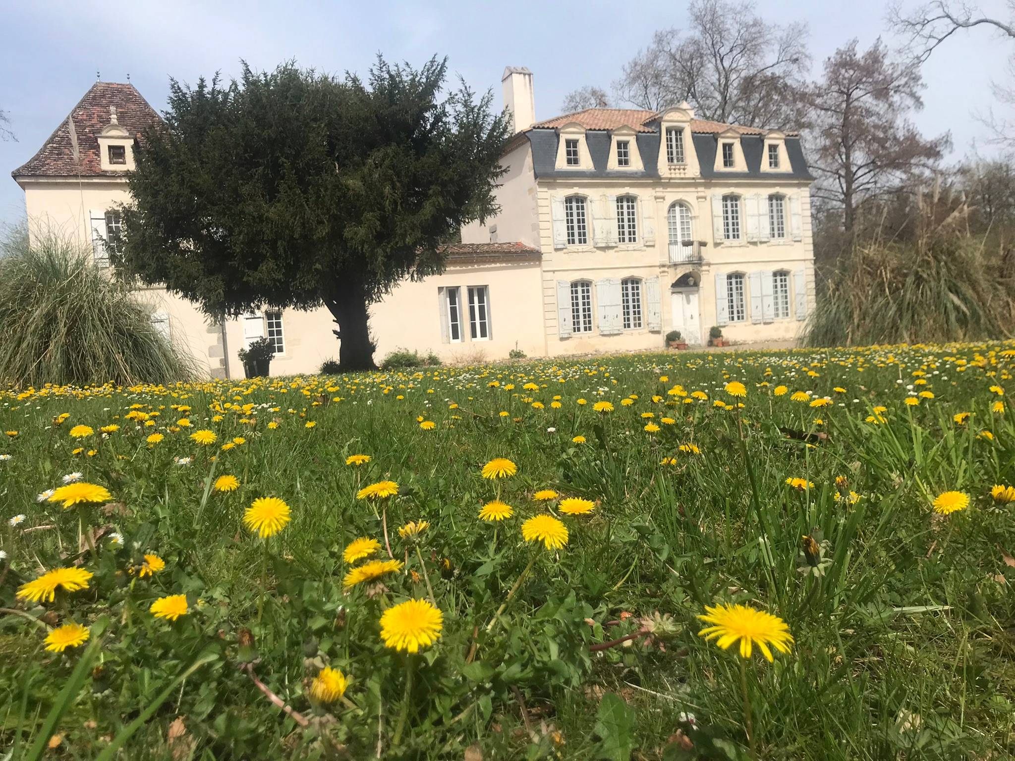 Une photo de l’annonce
