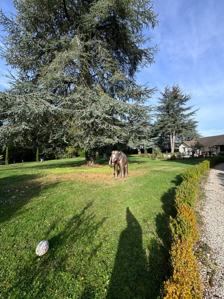 Une photo de l’annonce