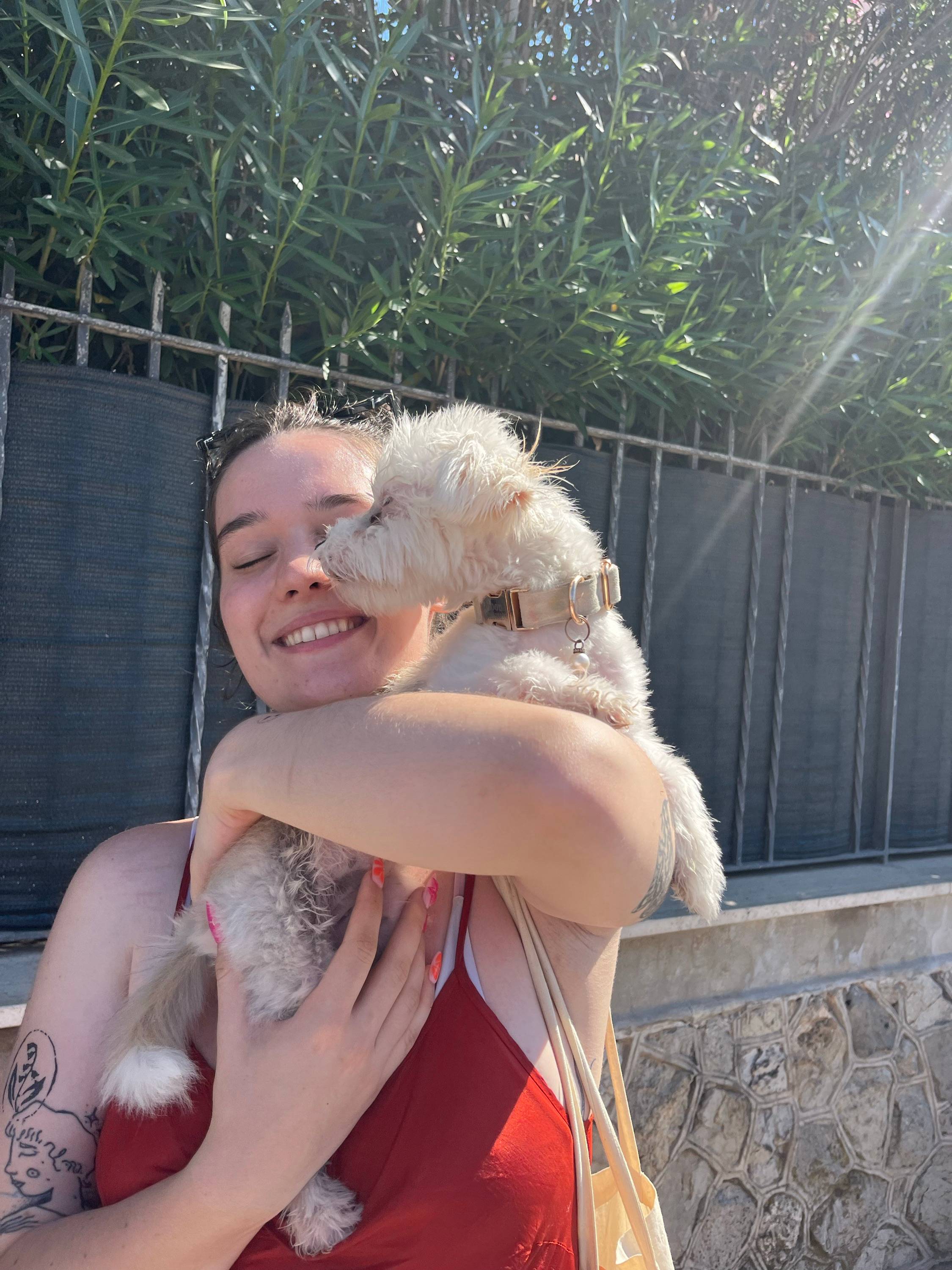 Propose garde d'animaux de compagnie