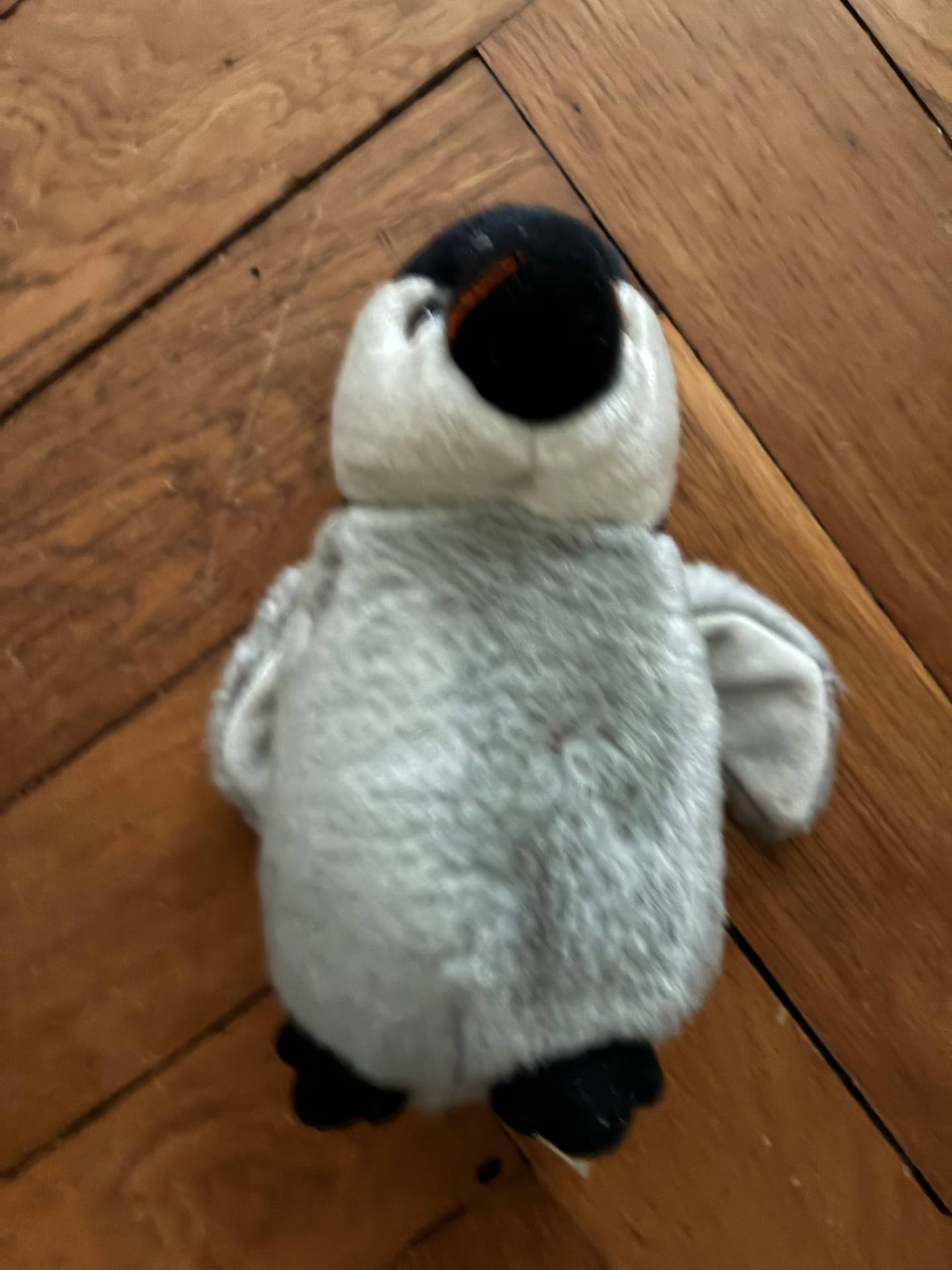 Peluche bébé pinguin