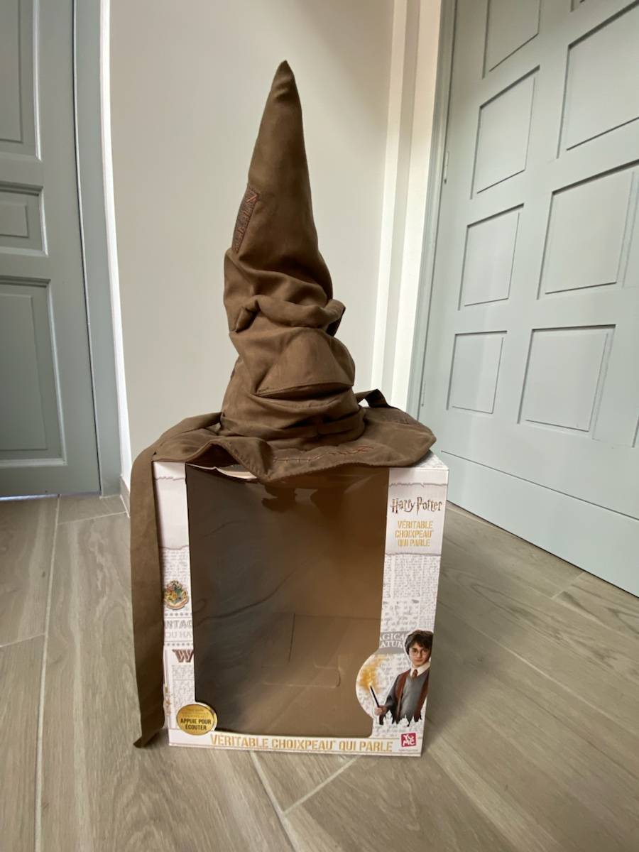 Choixpeau Harry potter