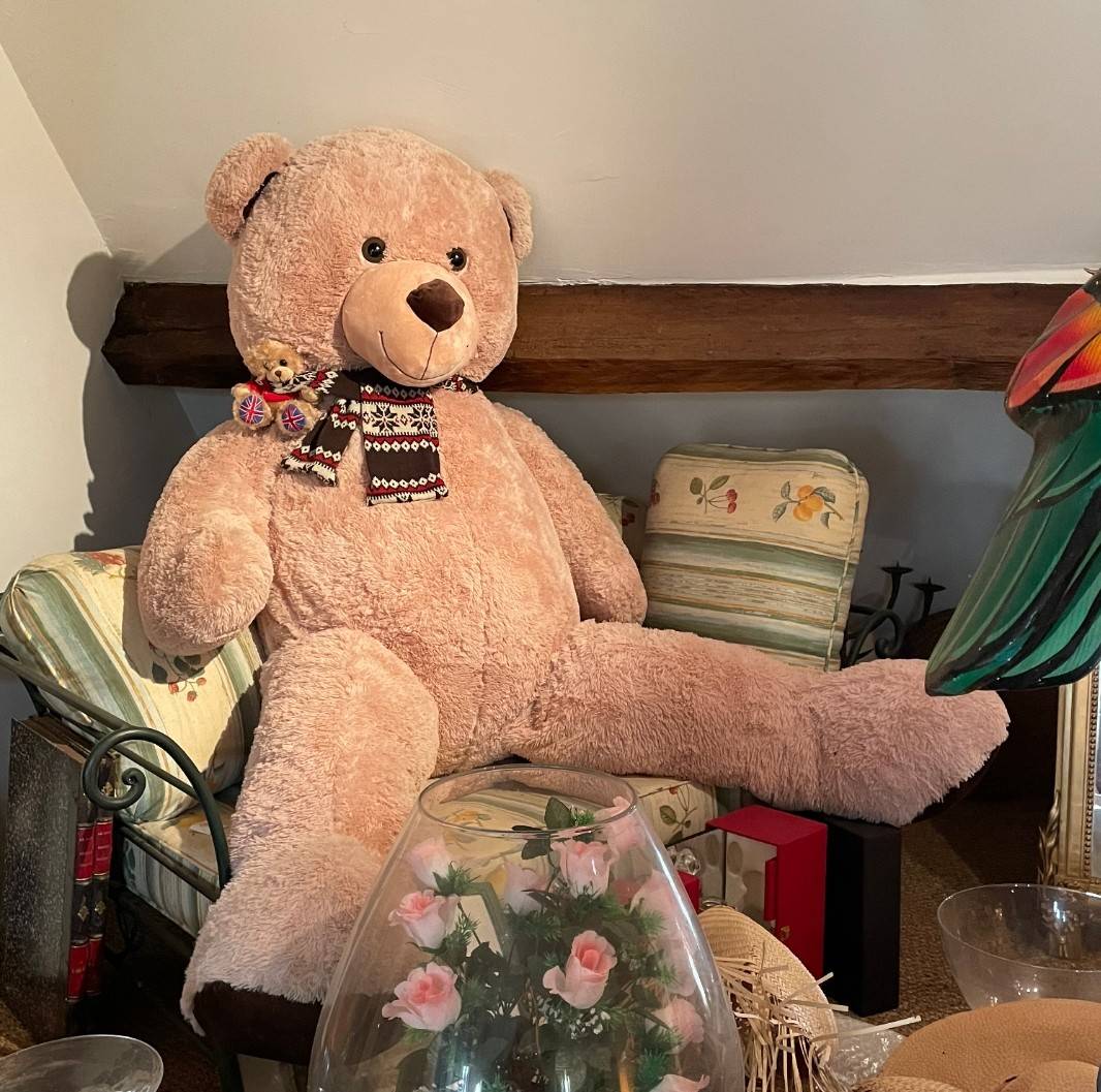 Grand ours en peluche - Ours en peluche géant 180 cm - tout doux - neuf - idée cadeaux de noël