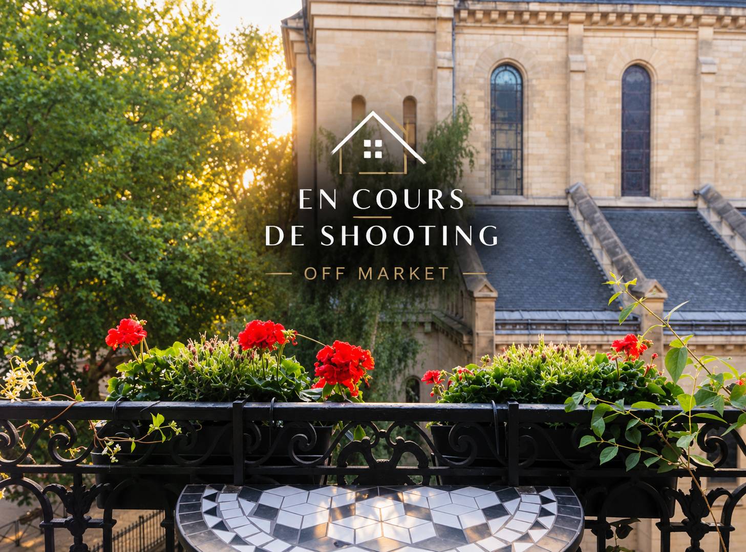 Une photo de l’annonce