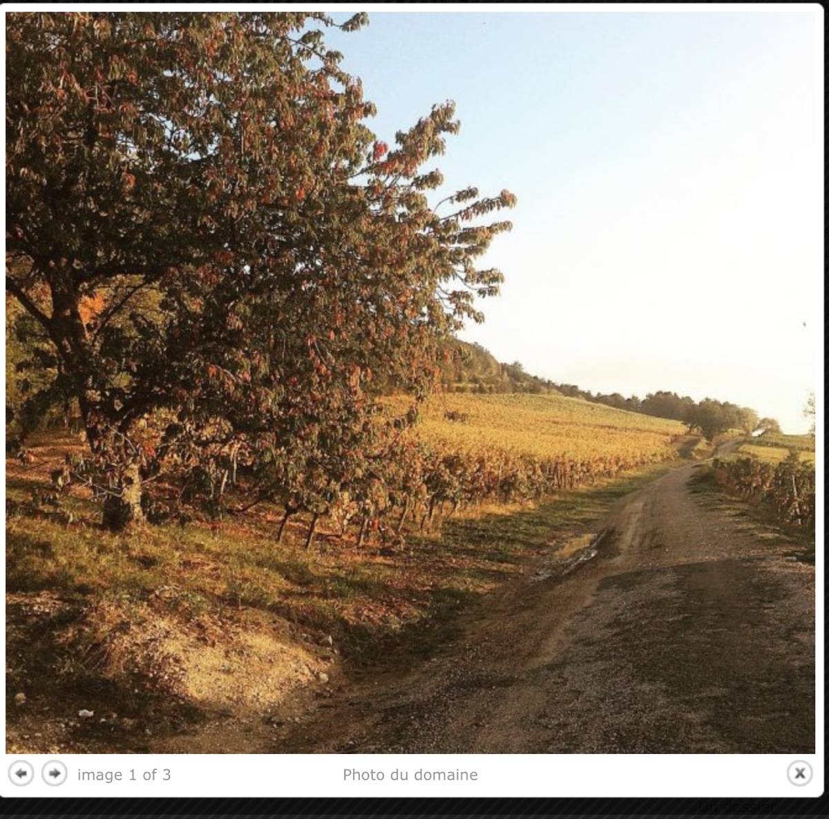 Vends 1 action dans une GFA viticole de vin de garde