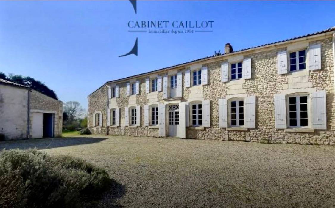 Une photo de l’annonce