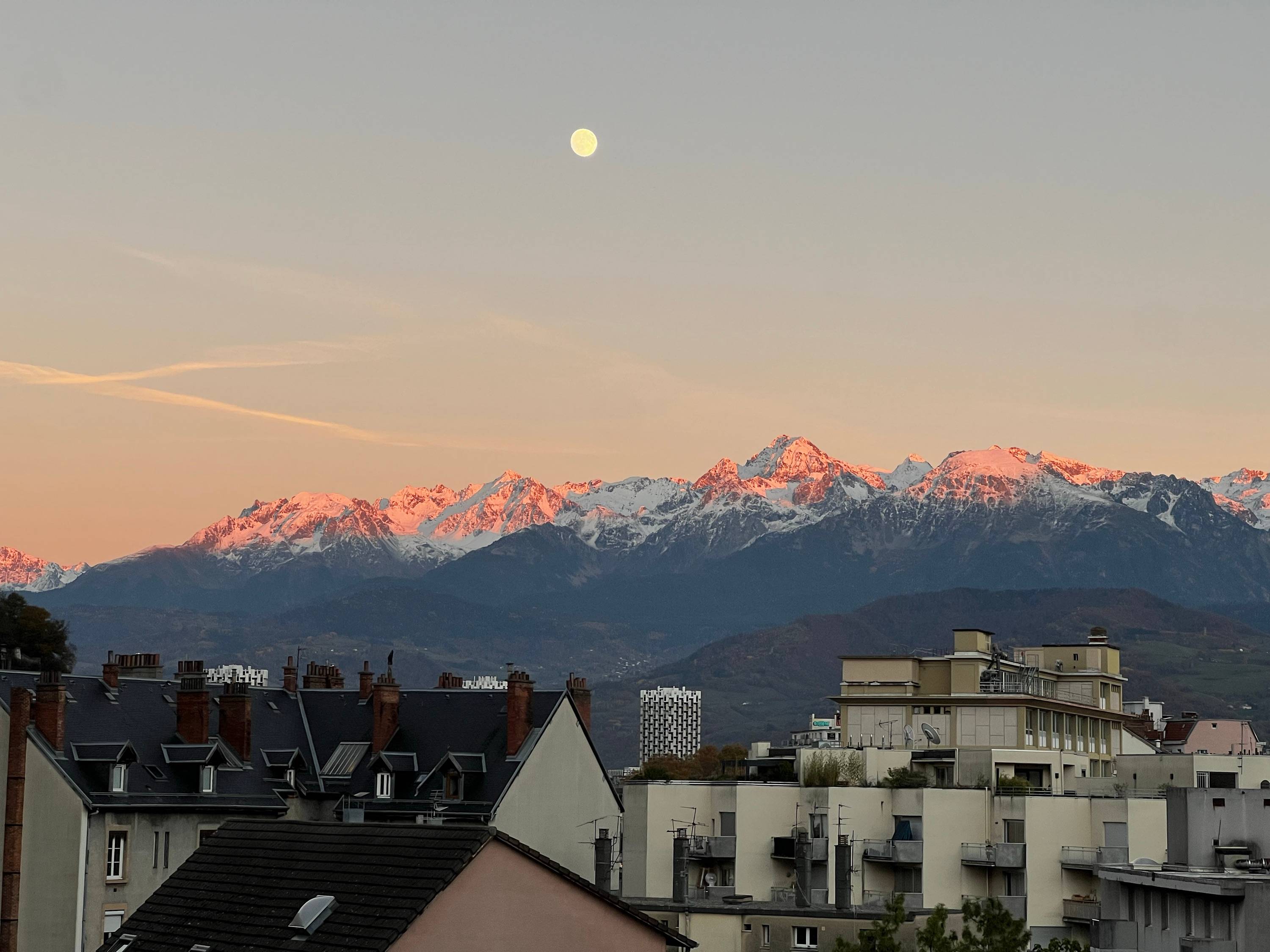 Une photo de l’annonce