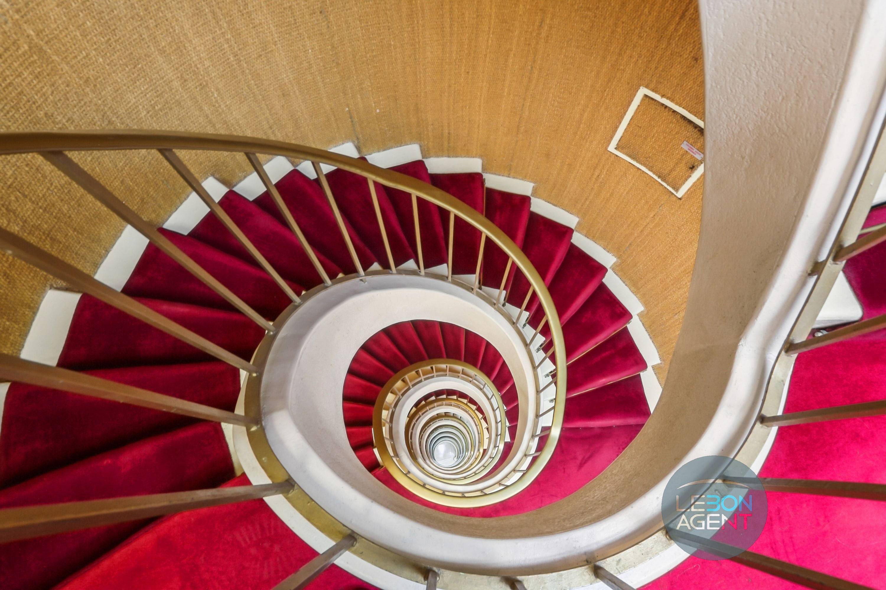 Une photo de l’annonce