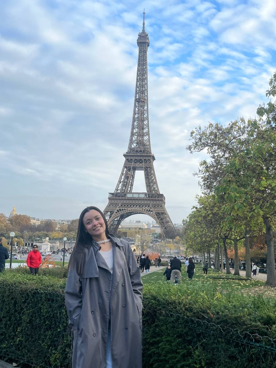 Propose services de ménage et aide à domicile