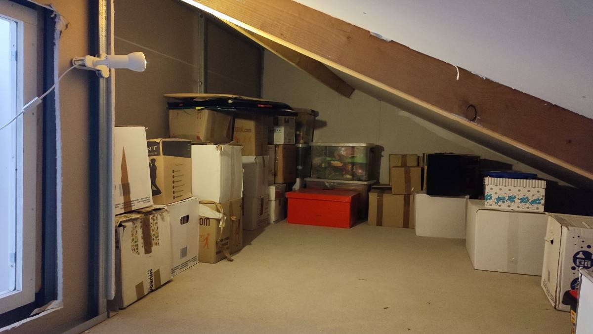 Une photo de l’annonce