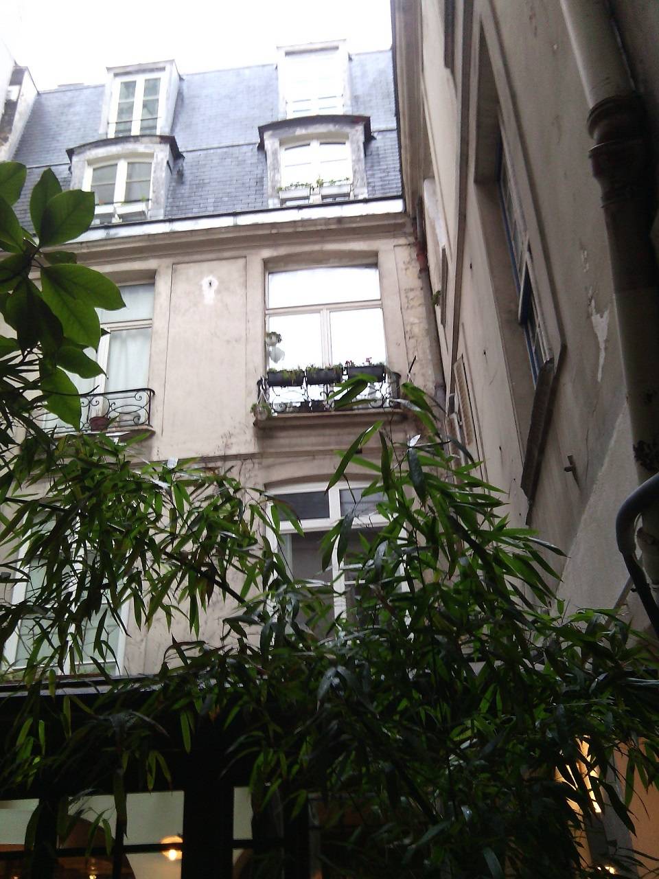 Une photo de l’annonce