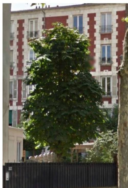 Loue appartement - 42m² - Boulogne-Billancourt