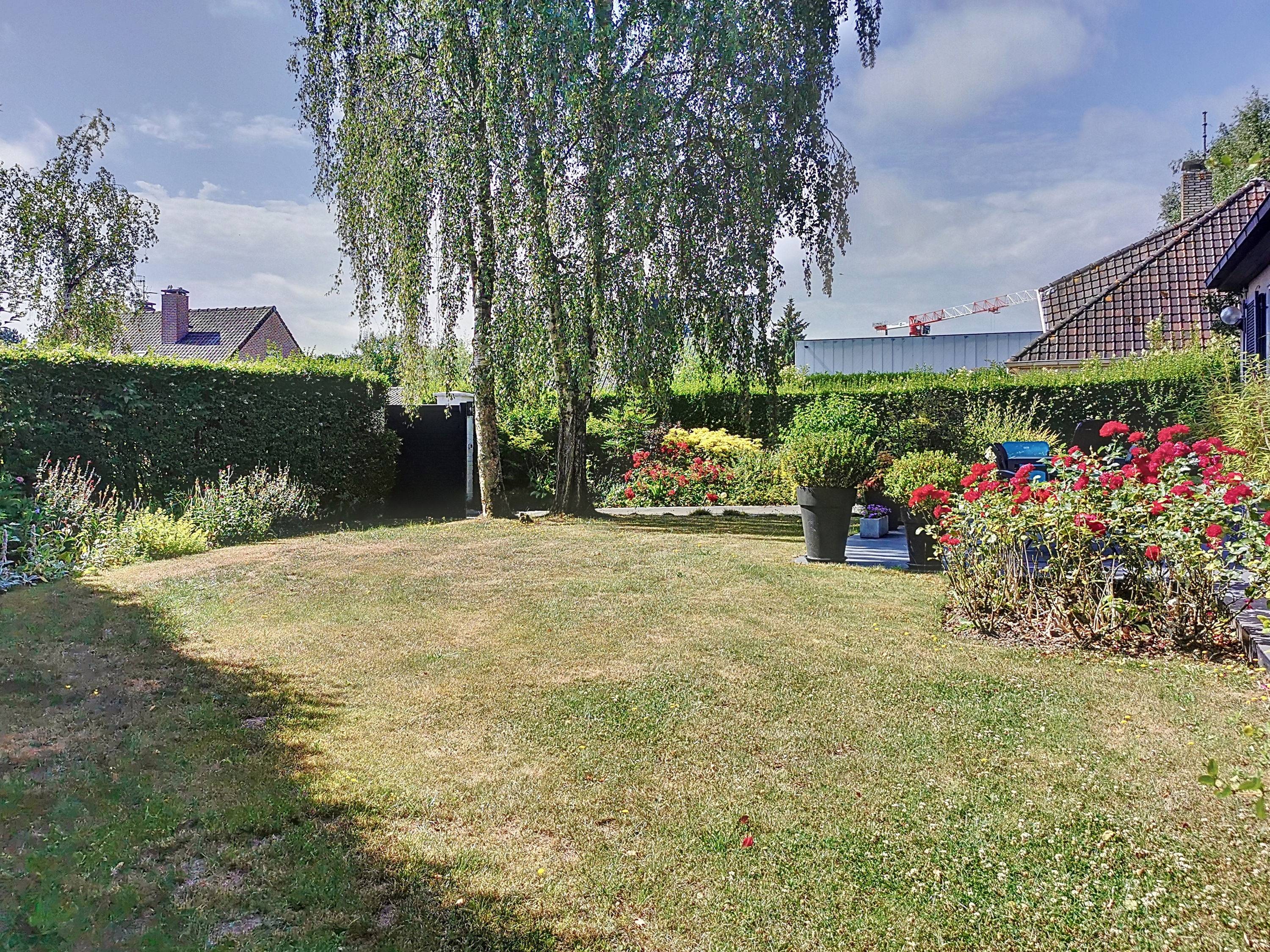 Une photo de l’annonce