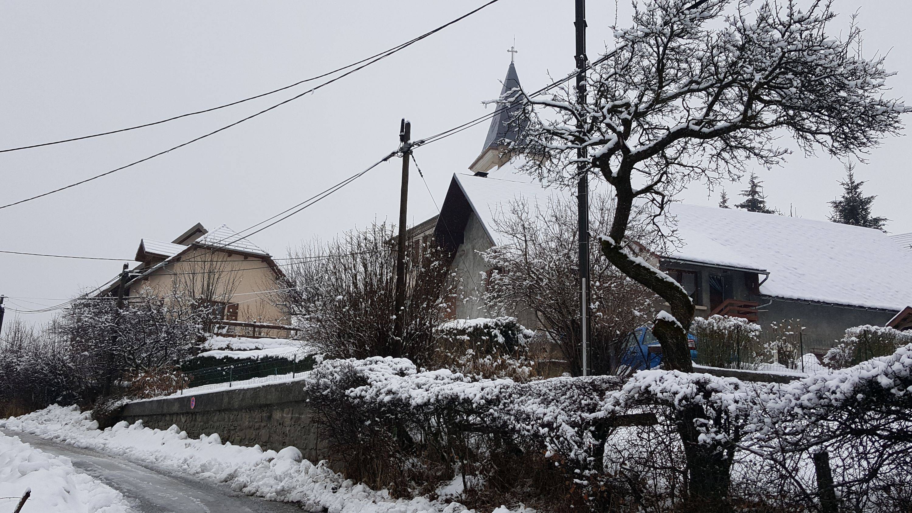 Une photo de l’annonce