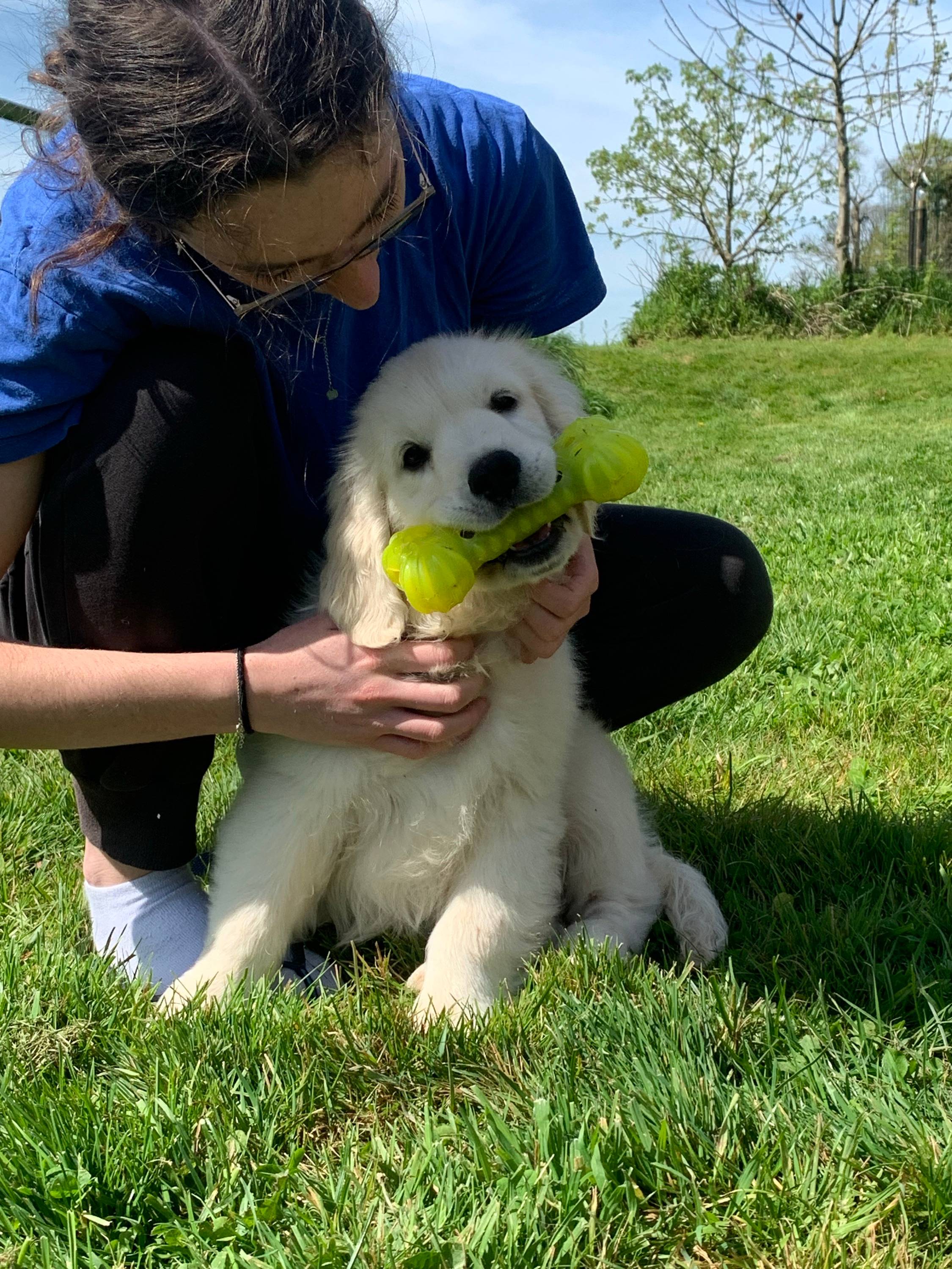 Propose garde d'animaux