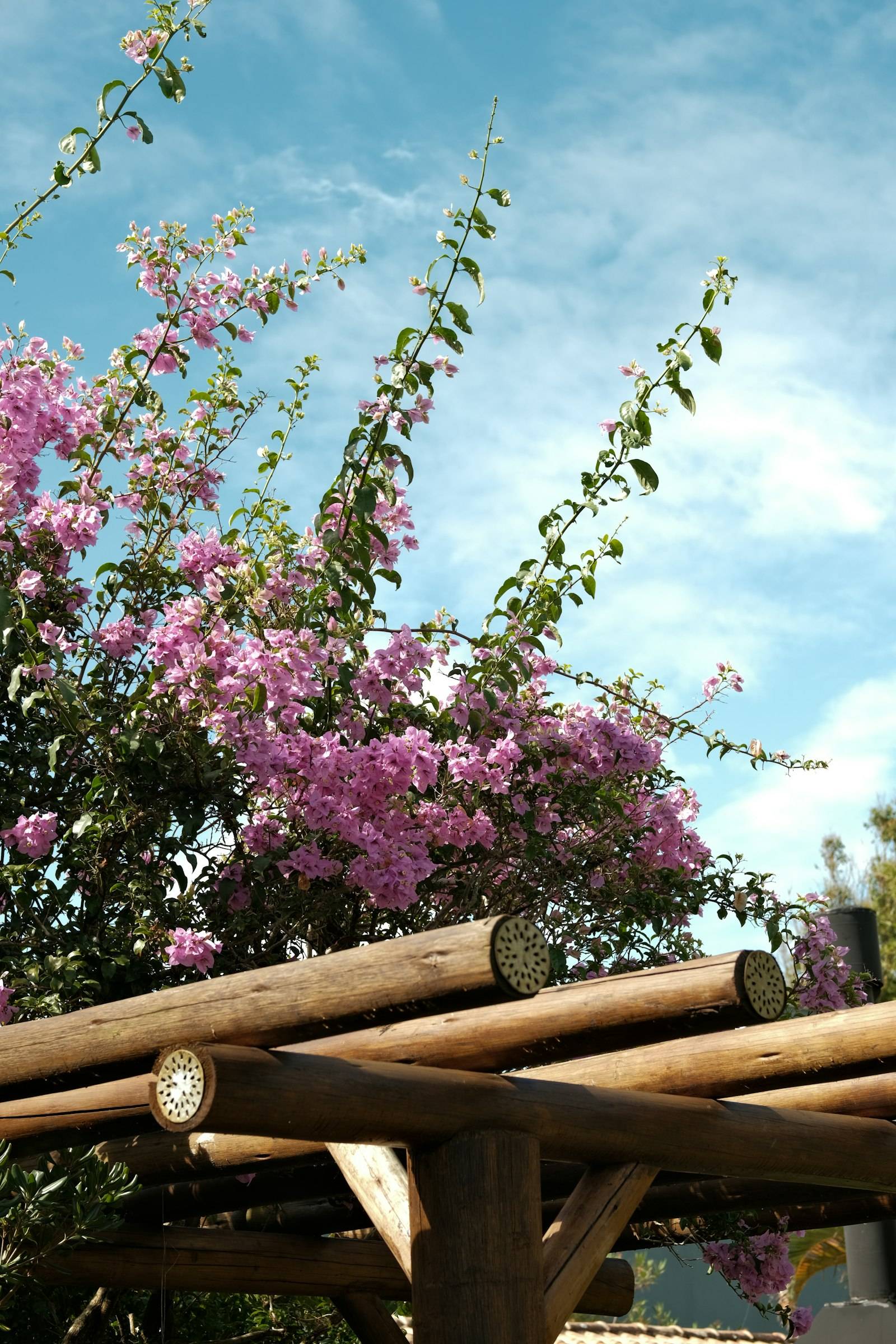 Terrasse en bois, pergola et claustras sur mesure à Paris et en Île-de-France – Renovely