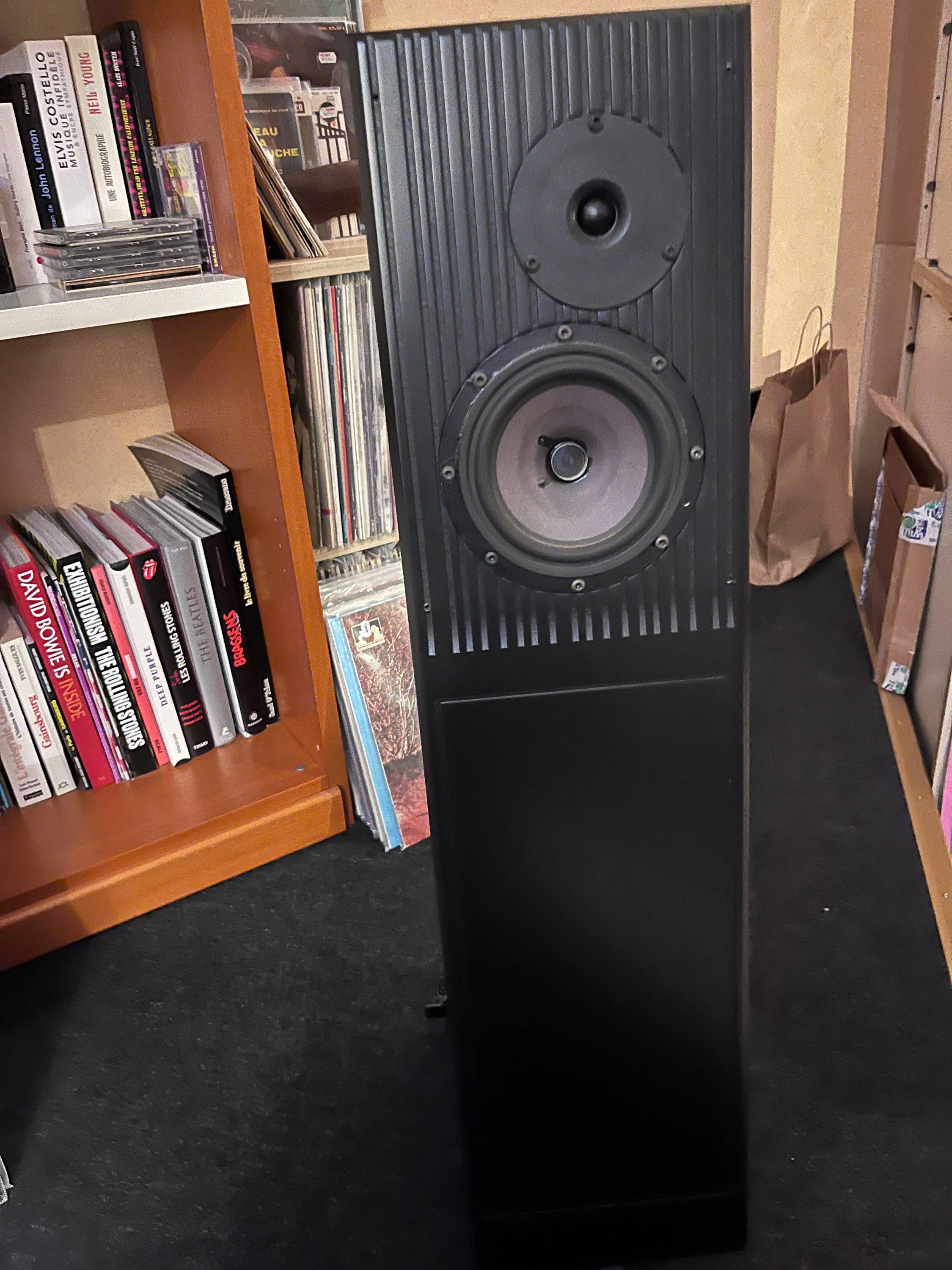 Vends enceintes Rega Ela