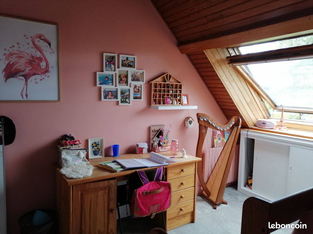 Une photo de l’annonce