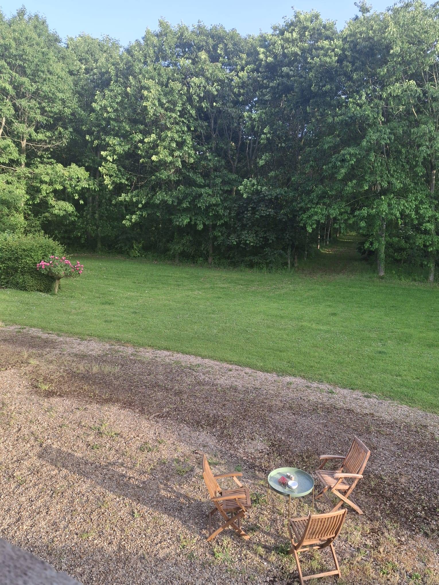 Une photo de l’annonce