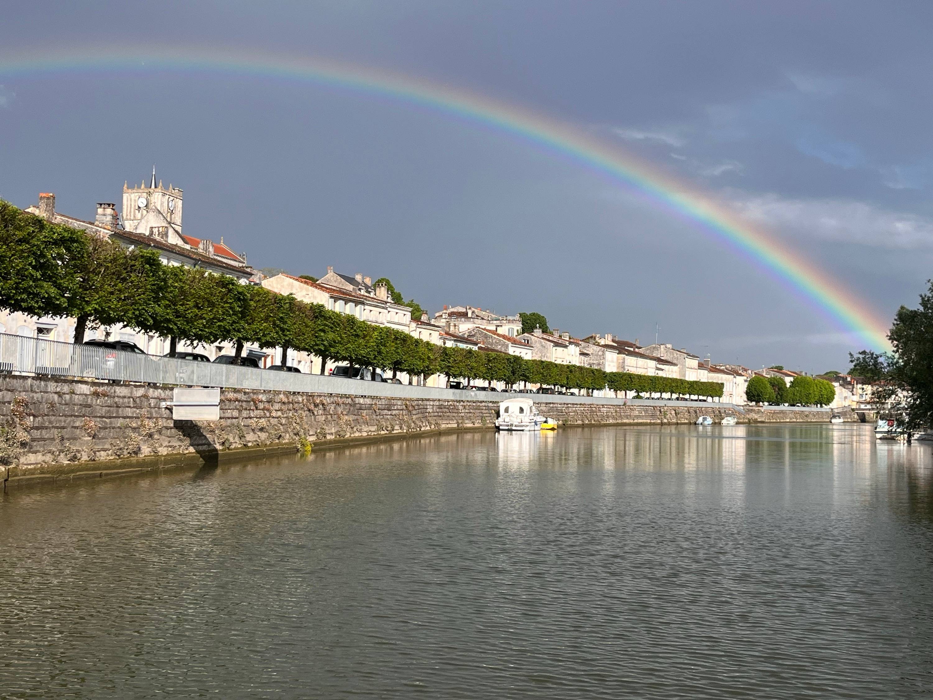 Une photo de l’annonce