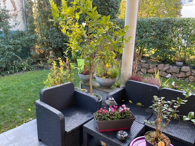 Une photo de l’annonce