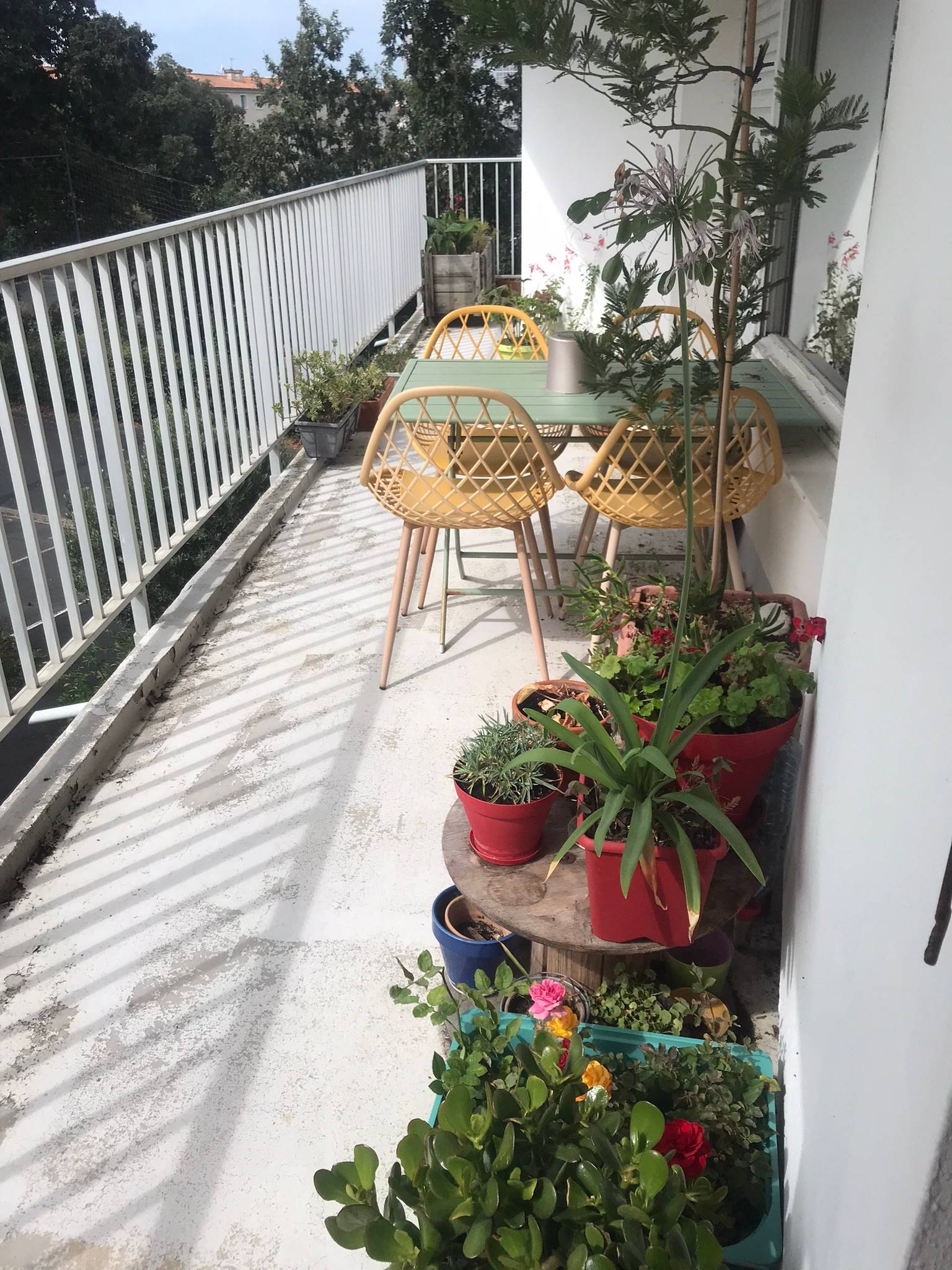 Une photo de l’annonce