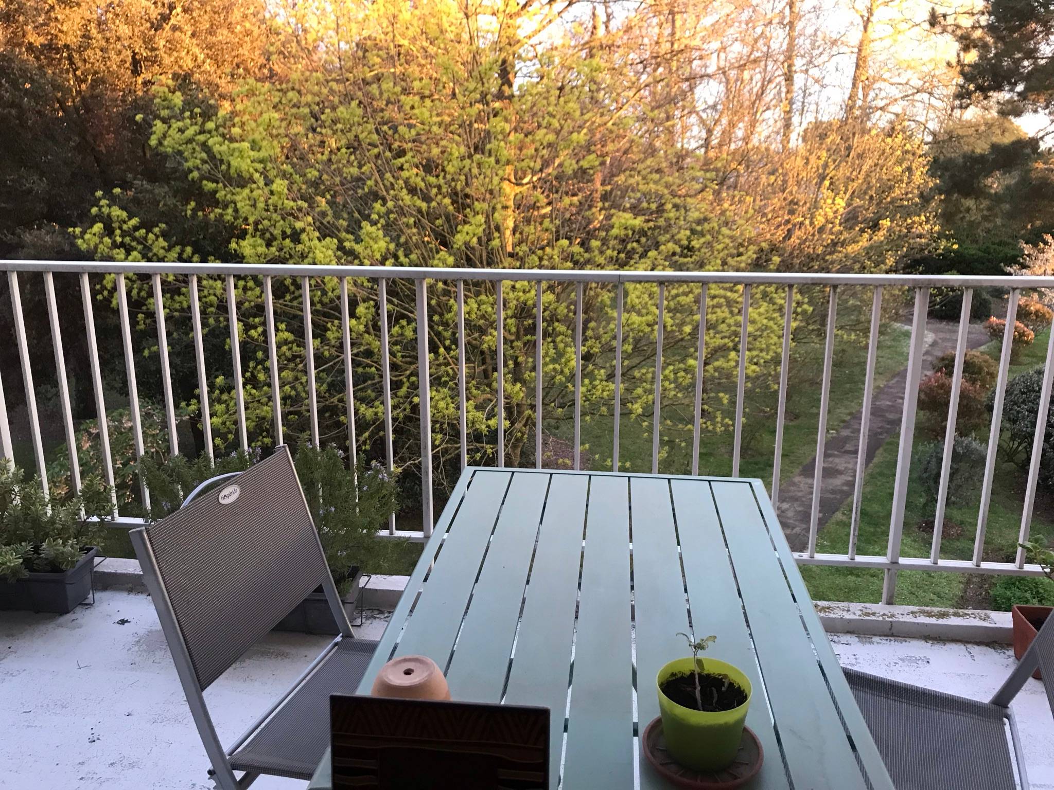 Une photo de l’annonce