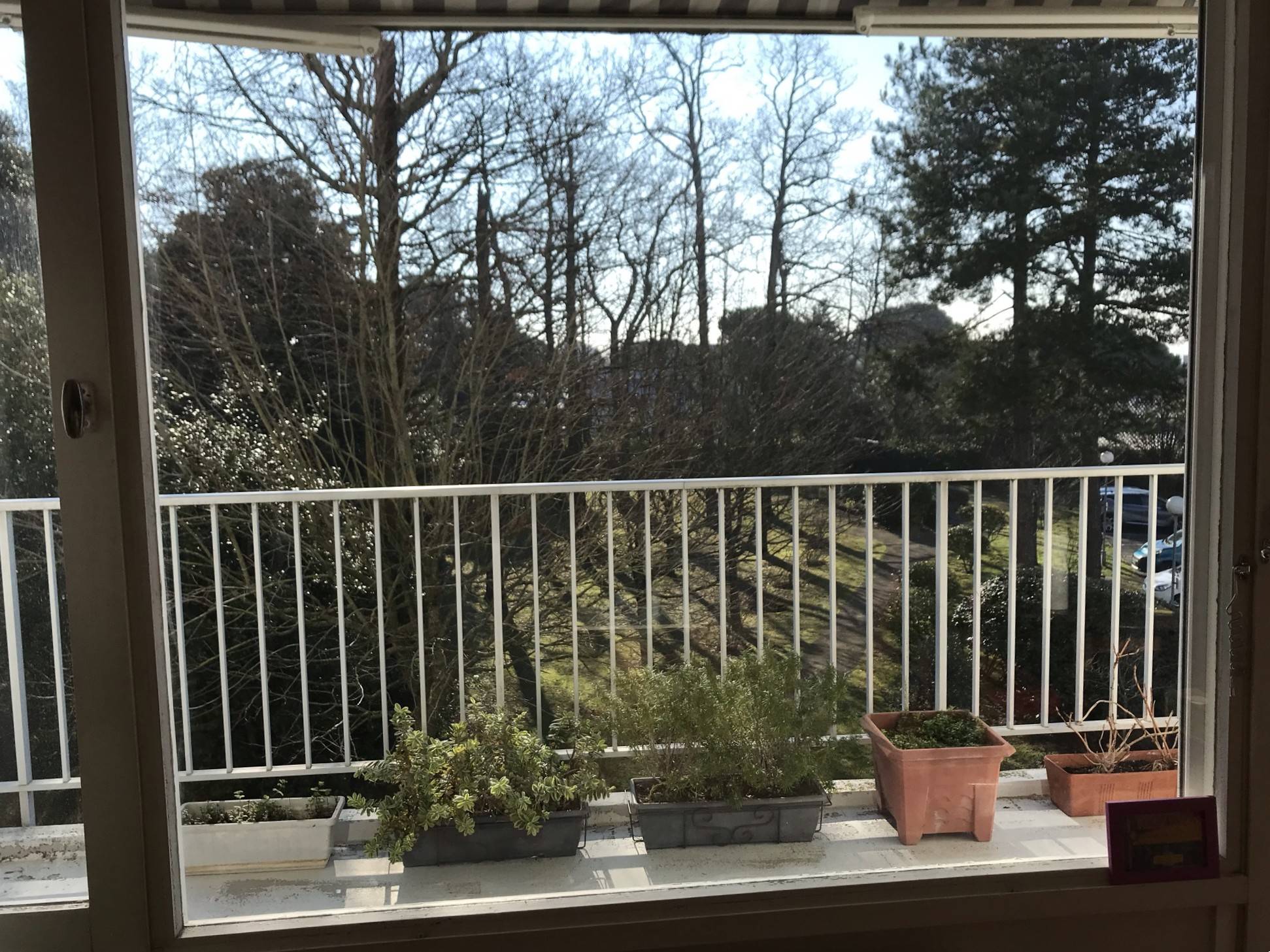 Une photo de l’annonce