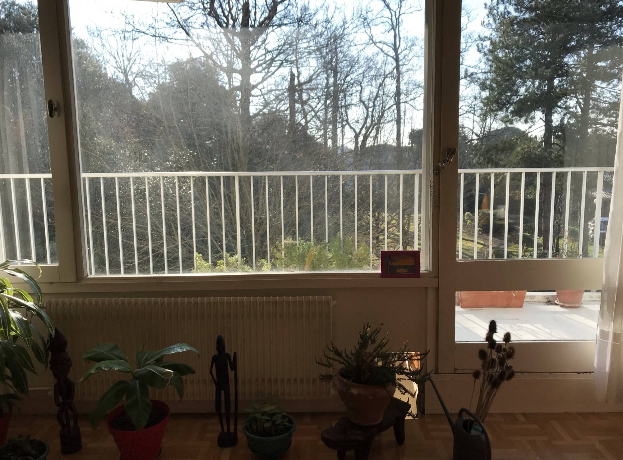 Une photo de l’annonce