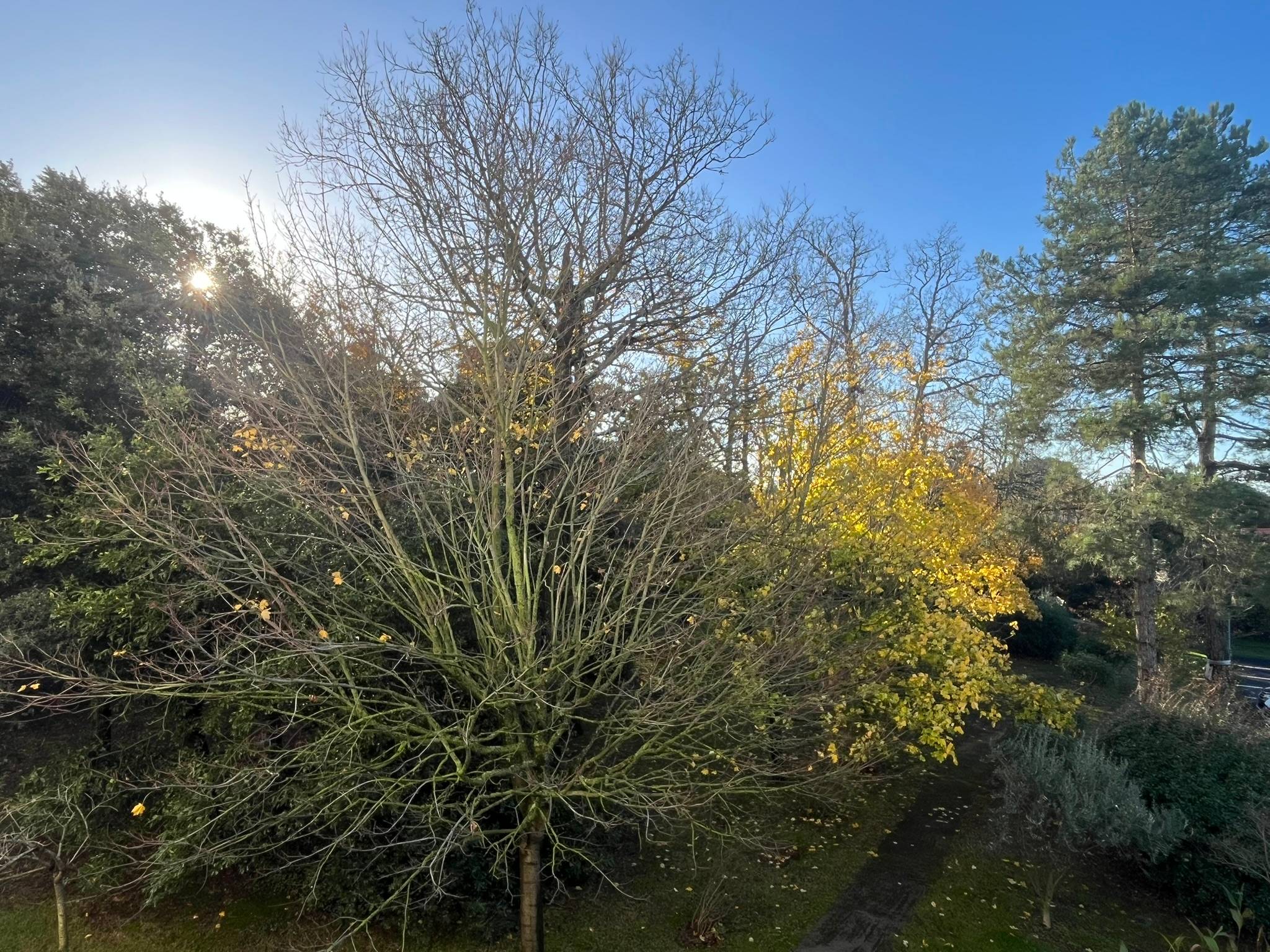 Une photo de l’annonce