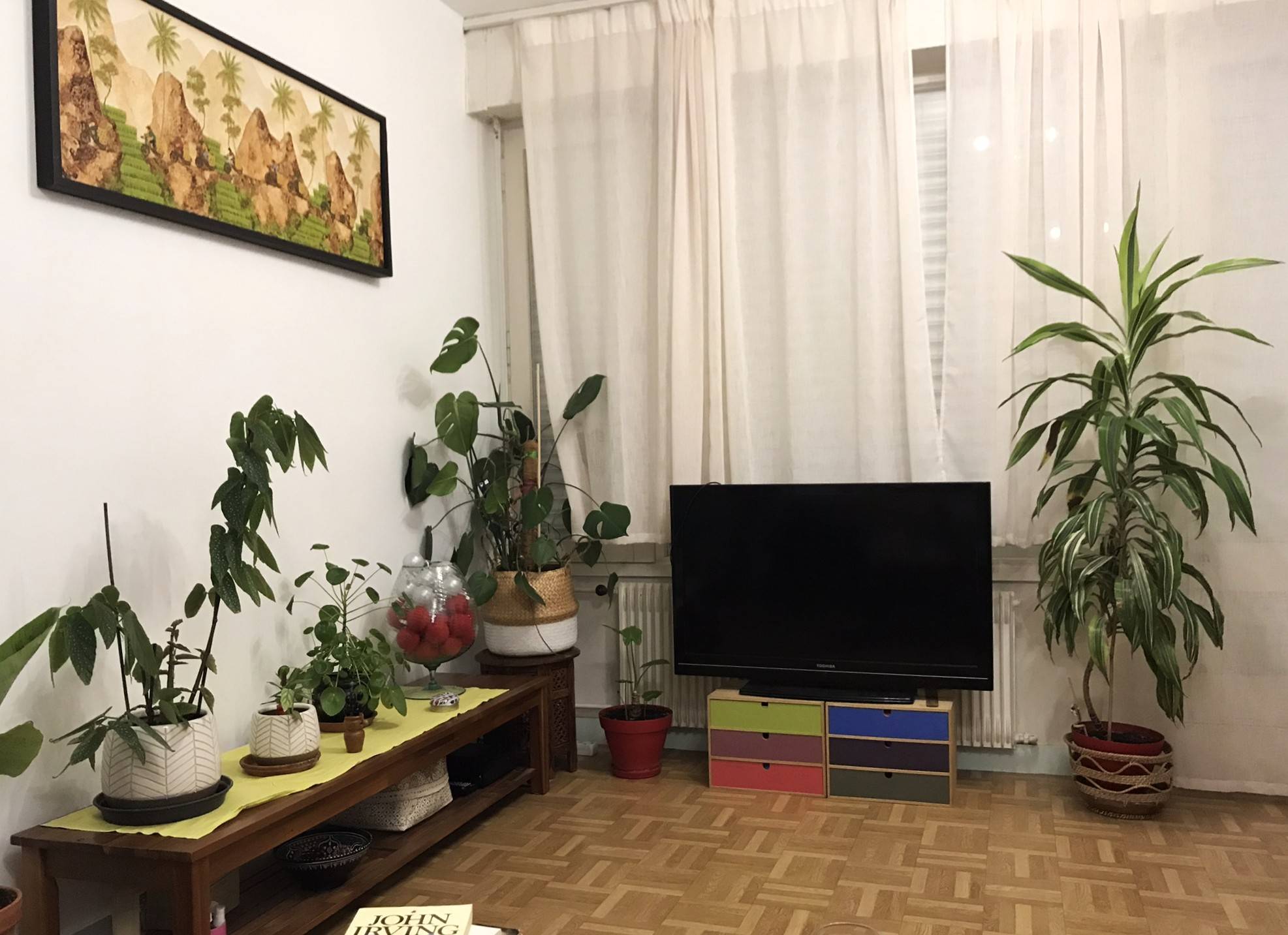 Une photo de l’annonce